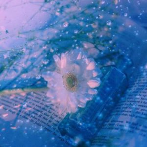 دانلود آهنگ کسی چه می داند فریبرز لاچینی